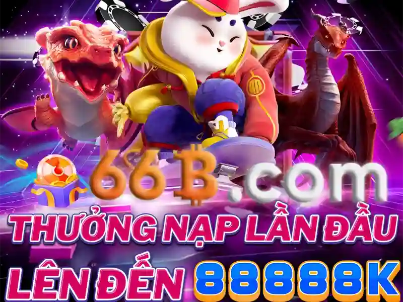 66B là gì và các đặc điểm chính
