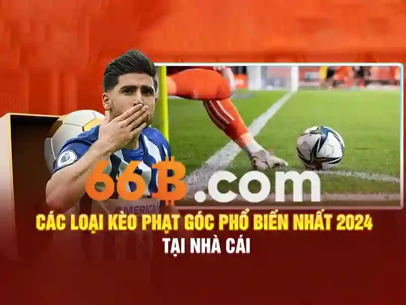 Triển vọng tương lai của 66B