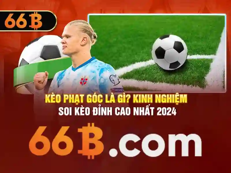66b . com – Nền tảng số tiên tiến cho trải nghiệm người dùng