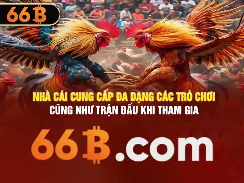 Banner giới thiệu 66b