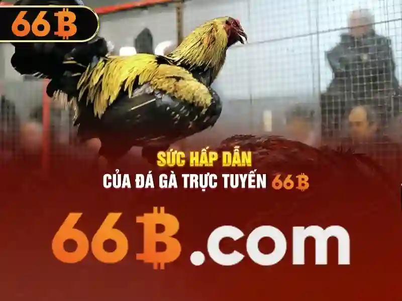 66b vip – Tóm tắt chủ đề và giá trị cốt lõi