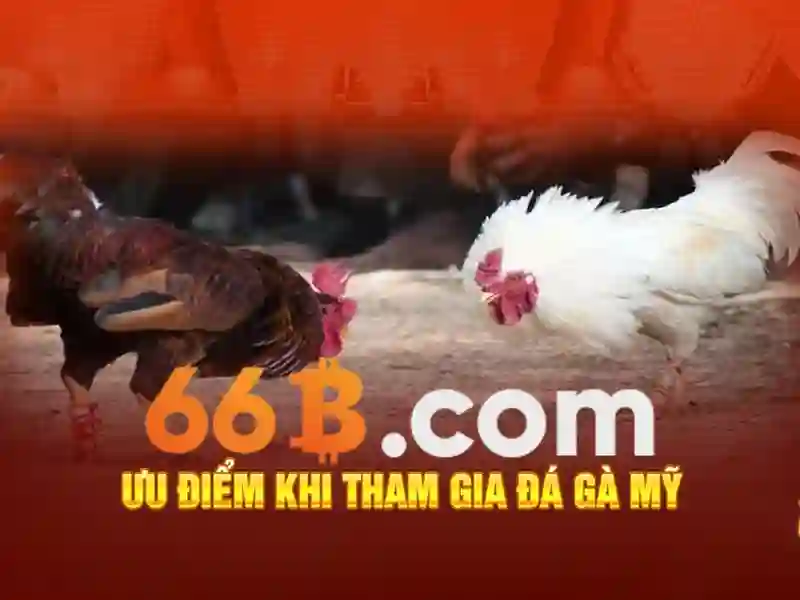 66b win – sản phẩm và dịch vụ cốt lõi