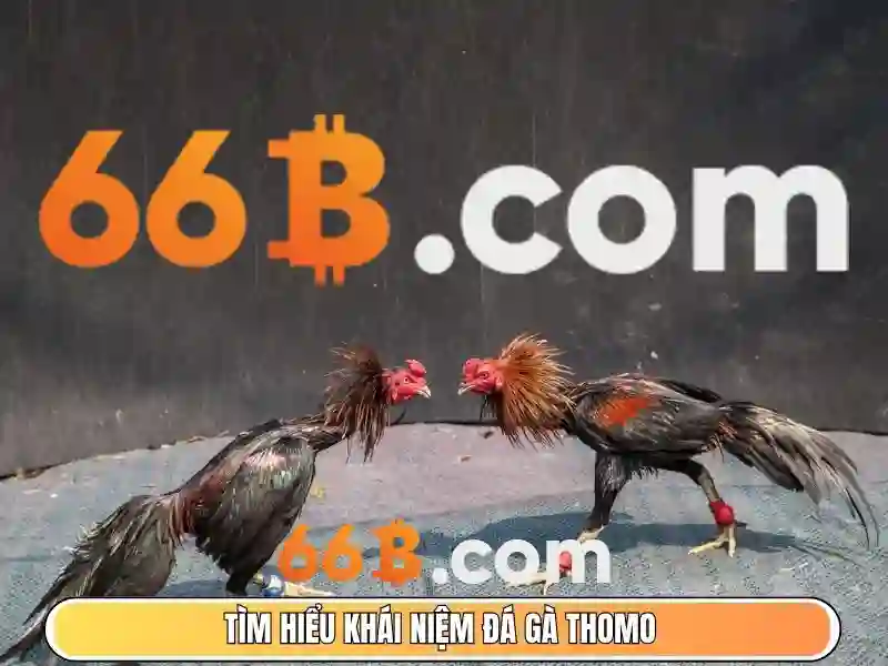 66B: Mô hình ngôn ngữ lớn 66 tỷ tham số và ảnh hưởng của nó