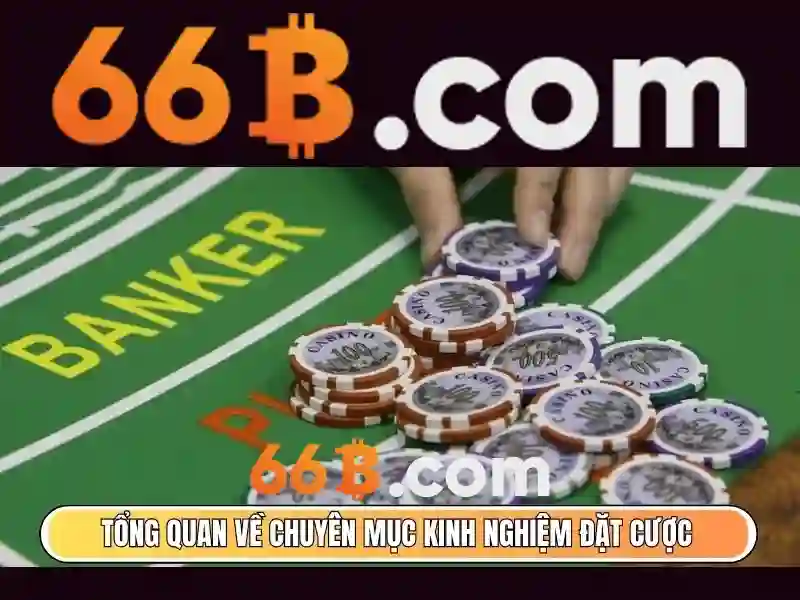 66B: một khái niệm liên quan đến kích thước mô hình AI