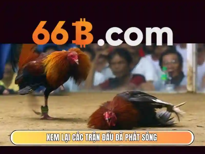 66b: Mô hình AI quy mô 66 tỷ tham số và ảnh hưởng của nó
