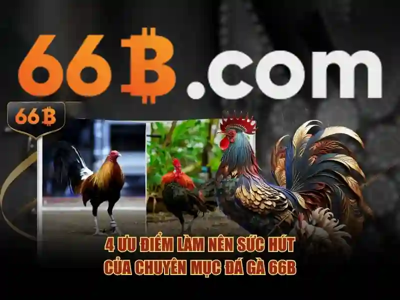 trường con 66b nguyễn sĩ sách – tổng quan chủ đề và giá trị cốt lõi