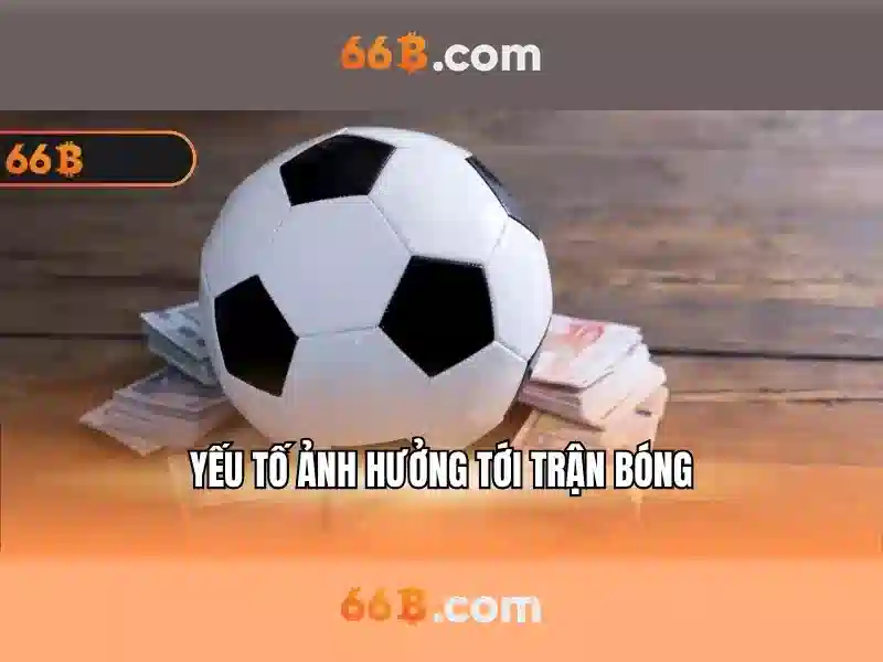 Giới thiệu về 66B