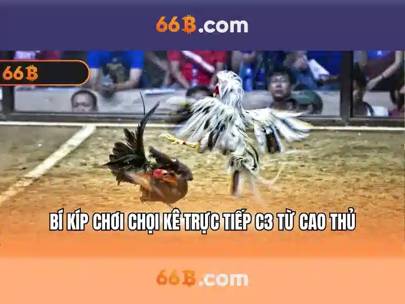 66b: một cái nhìn tổng quan về mô hình ngôn ngữ quy mô lớn