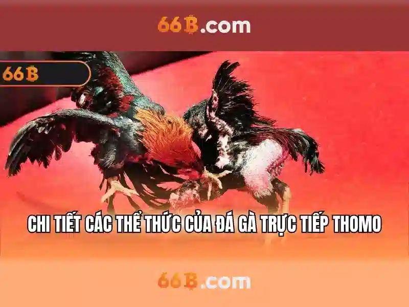 Đào tạo và nguồn dữ liệu