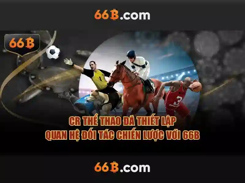 Trải nghiệm người dùng và phản hồi từ cộng đồng\n\n