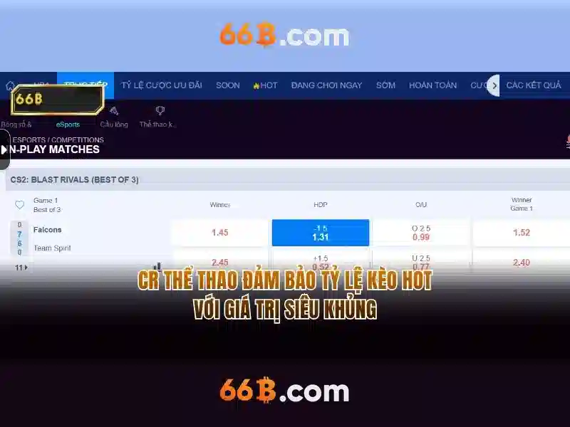 Đặc trưng của 66B