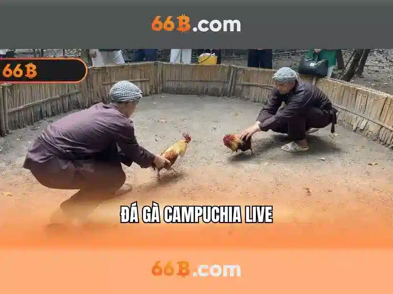 66b phường 15 quận tân bình: hành trình và giá trị cộng đồng