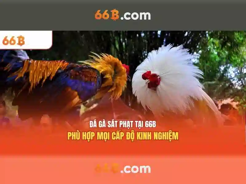 Kiến trúc và quy mô tham số