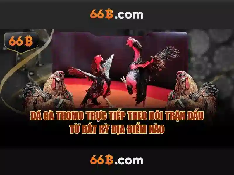 Kiến trúc và tham số của 66b