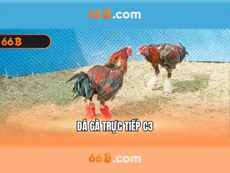 hoogoorddreef 66b – Chủ đề tổng quan và giá trị cốt lõi