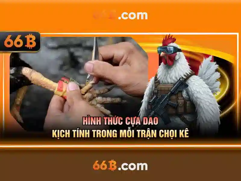 Kiến trúc và khả năng