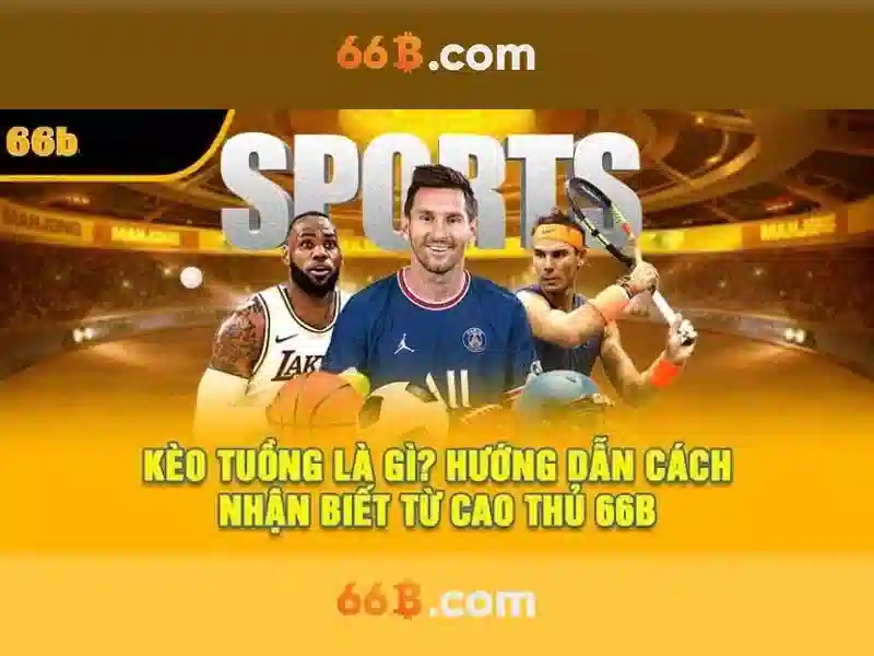 66b: một khái niệm mở và ý nghĩa của nó