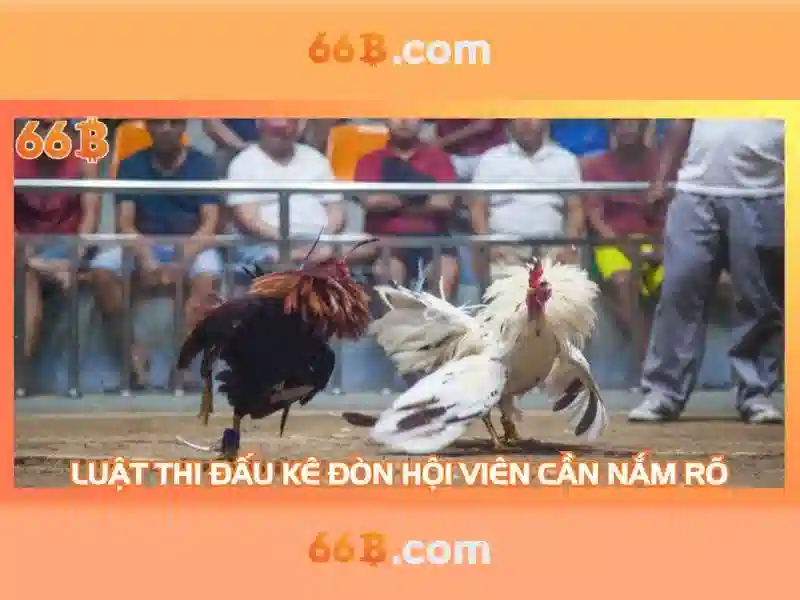 Ứng dụng thực tiễn