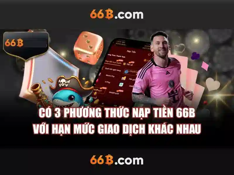 66B là gì