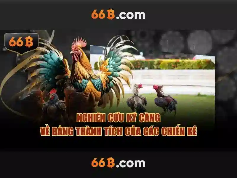 Tương lai của 66B