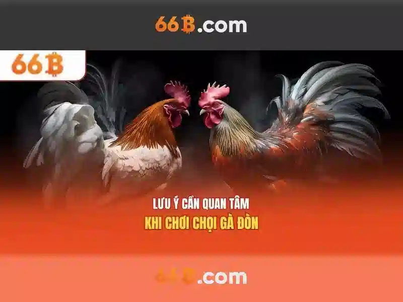 Ứng dụng và thách thức