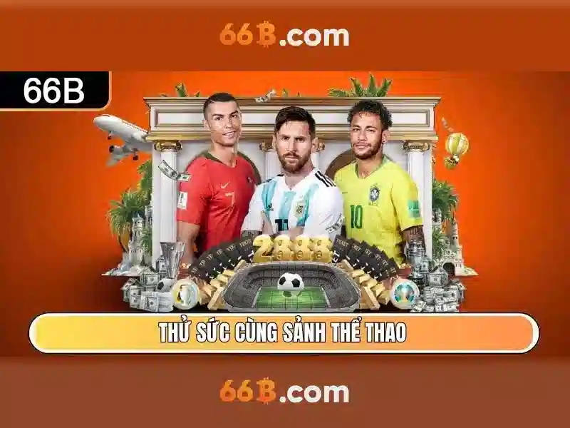 66B là gì?\n