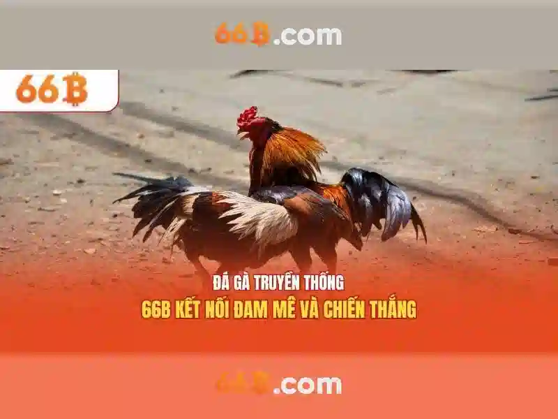 66b: Khái niệm và tiềm năng trong công nghệ hiện đại