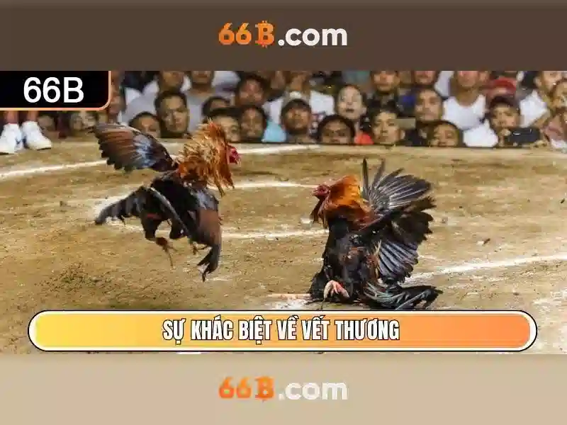 66b: một ký hiệu trong văn hóa số