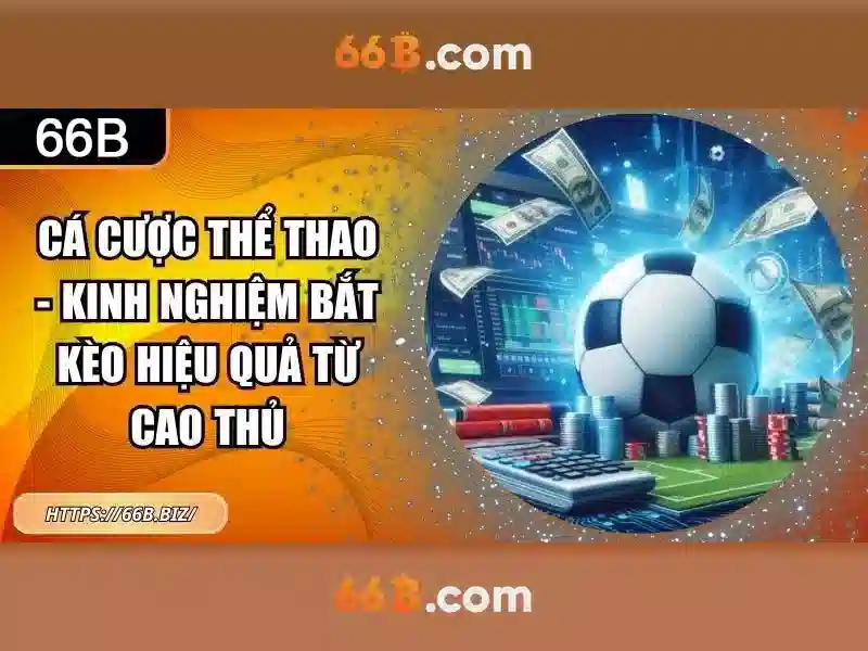 Ứng dụng và khả năng
