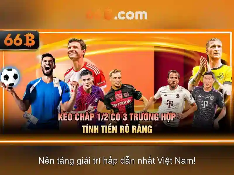 66b: một khái niệm công nghệ trong thế giới số