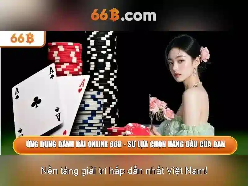 Hiệu suất và khả năng