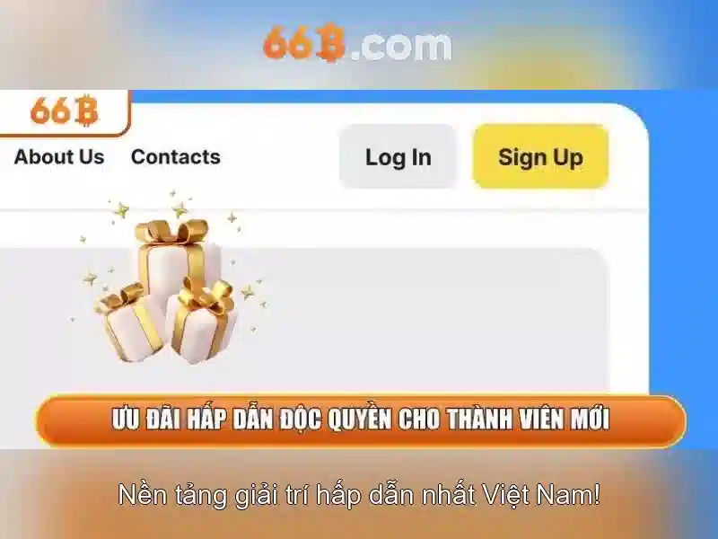 Giới thiệu về mô hình 66b\n