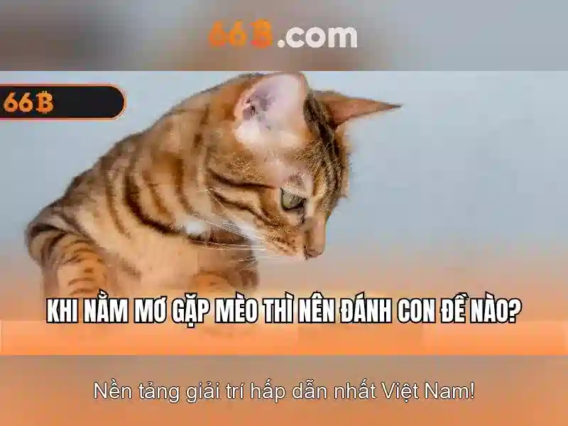 <!--IMG_PLACEHOLDER alt	Kết luận về 66B và cách tự tin khi mặc-->