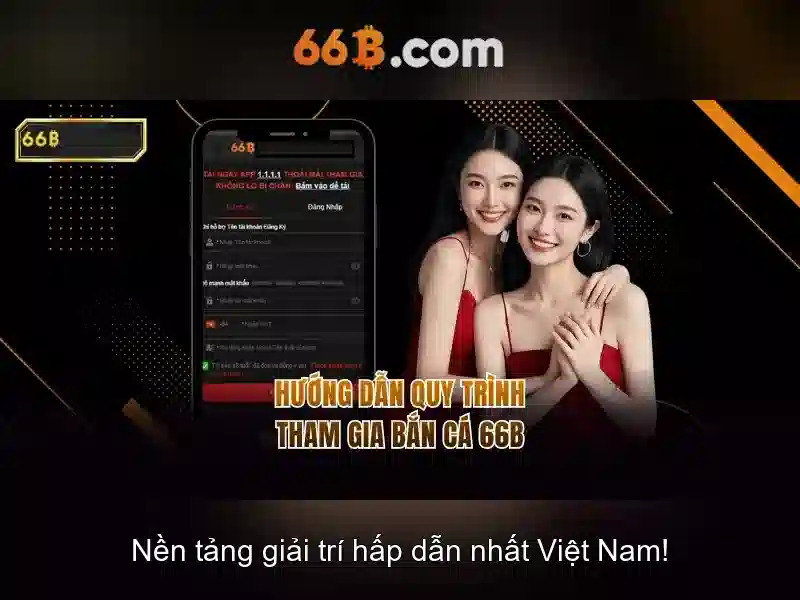 66b: một khái niệm và tác động