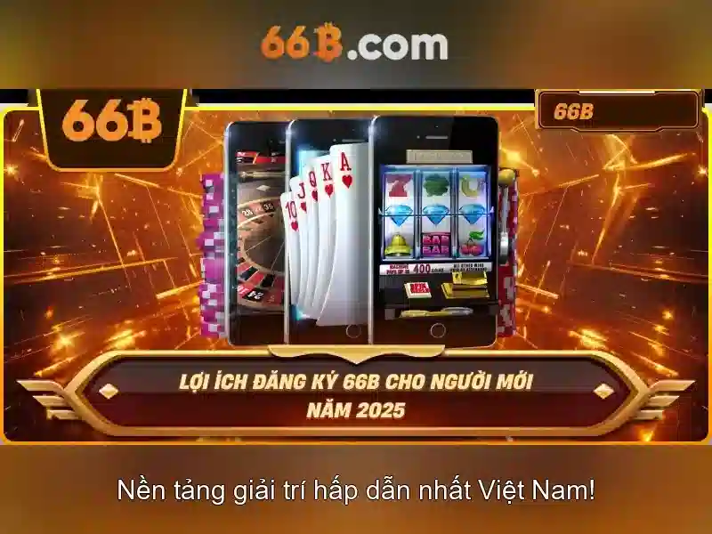 66b: Tổng quan và ý nghĩa