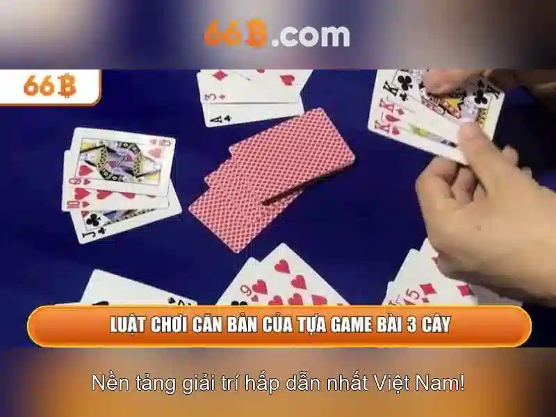 Kiến trúc và kích thước\n