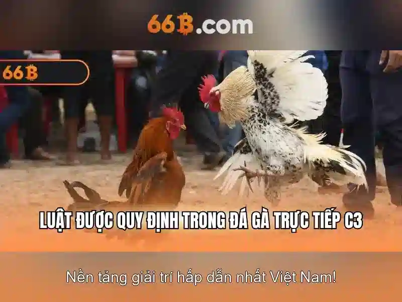 66B: Mô hình ngôn ngữ với 66 tỉ tham số