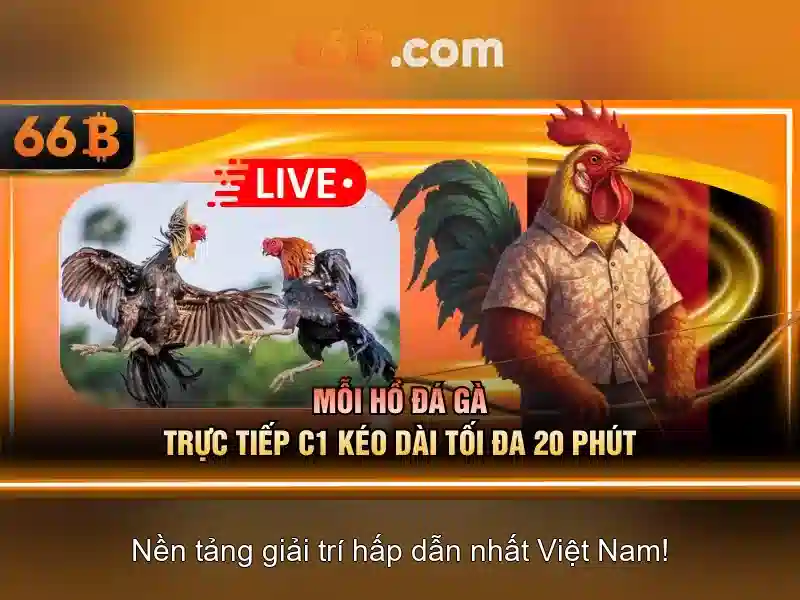 Các yếu tố cấu thành 66b
