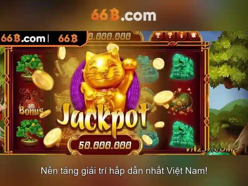 66b là gì?
