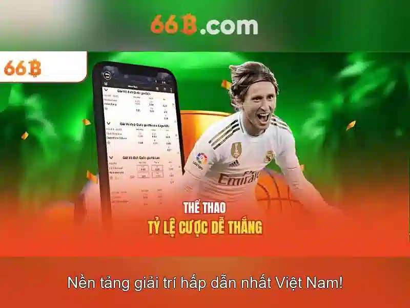 66b trong văn hóa số