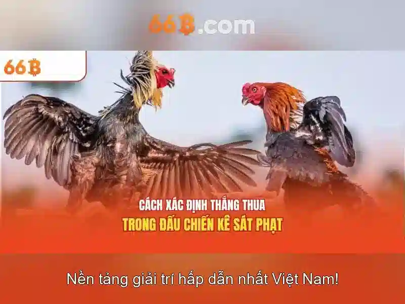 66b: Mô hình ngôn ngữ lớn 66B