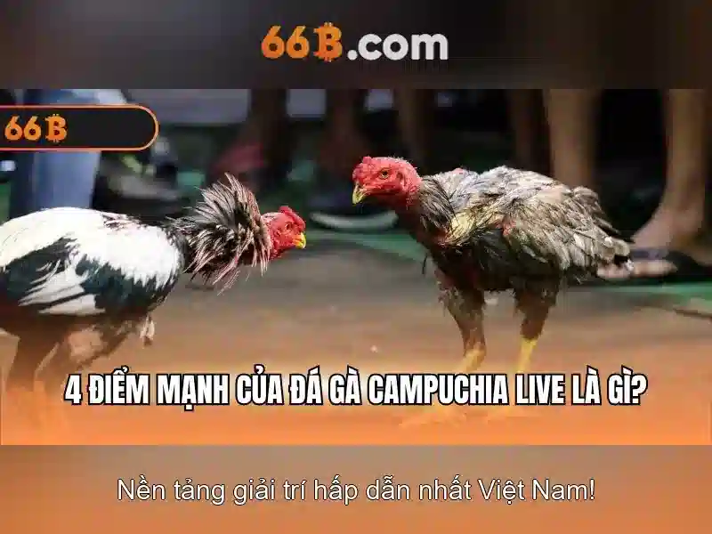 Khái niệm về mô hình 66B