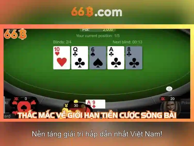 66b là gì và vai trò của nó