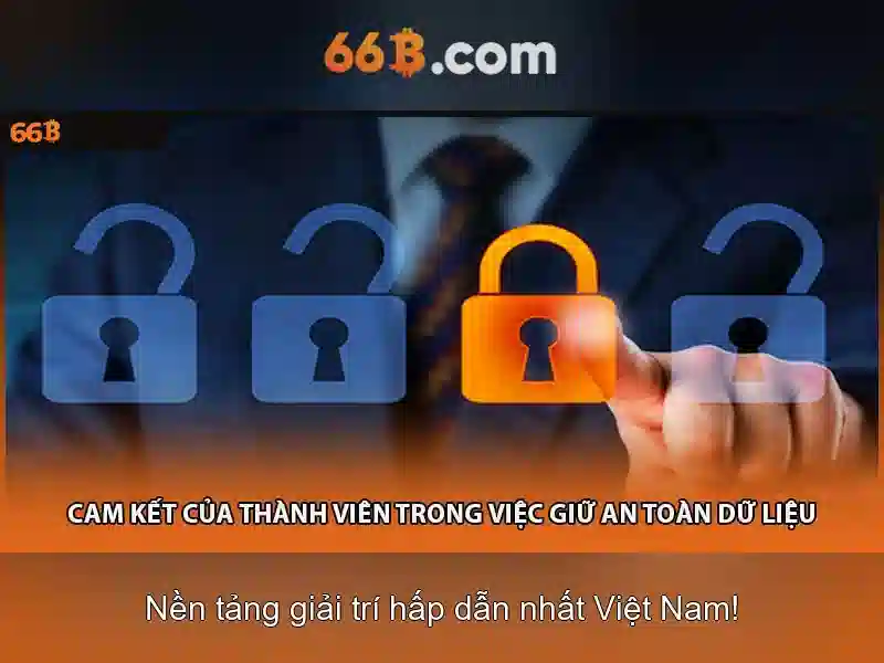Giới thiệu về 66B\n