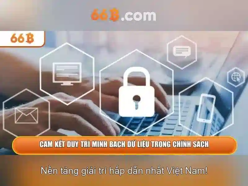 Quy mô và kích thước của 66B