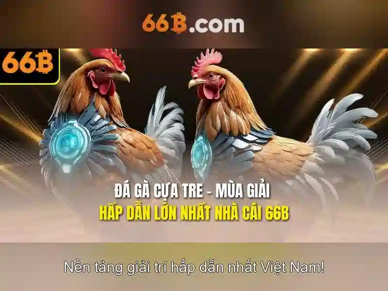 66b – Tổng quan và ứng dụng