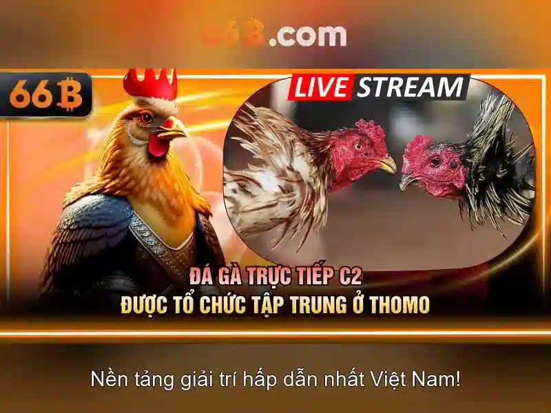 Kiến trúc và tham số
