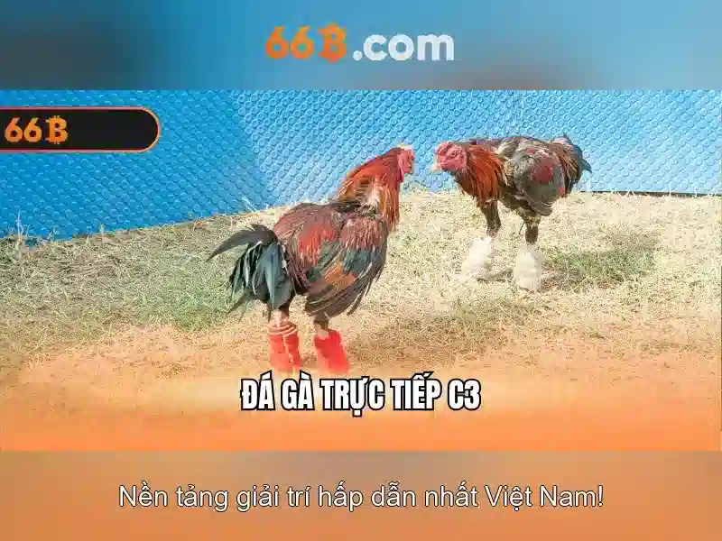 Khái niệm 66b