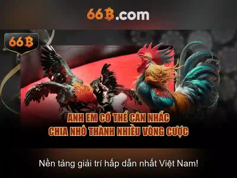 66b và sự phát triển của trí tuệ nhân tạo