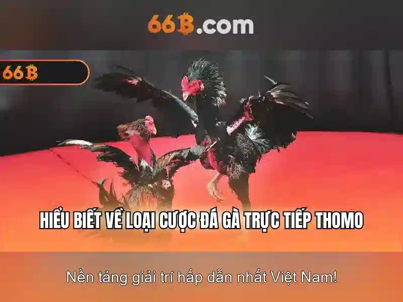 66B: một mô hình ngôn ngữ 66 tỷ tham số